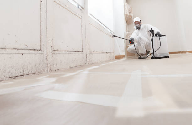 24/7 Emergency Mold Remediation experts in Byron Center, MI