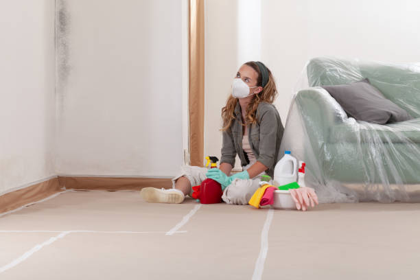 Reliable Mold Remediation contractor in Byron Center, MI by 24 Hour Mold Removal