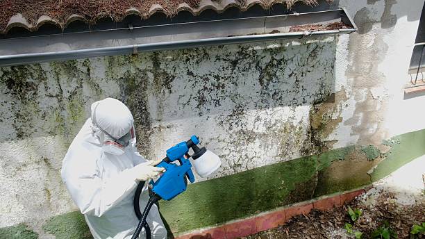 Top rated local Mold Remediation specialists in Byron Center, MI
